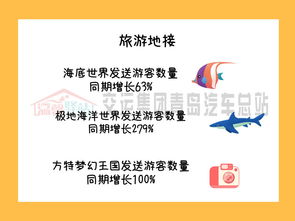 旅游業務為汽車總站暑運增添新活力